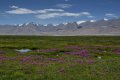 Iva Bittová navštívila Malý Tibet